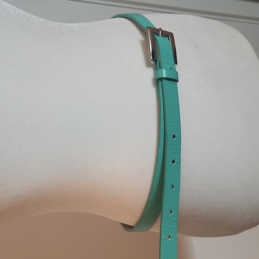 Turquoise Belt - Picture 2 of 3